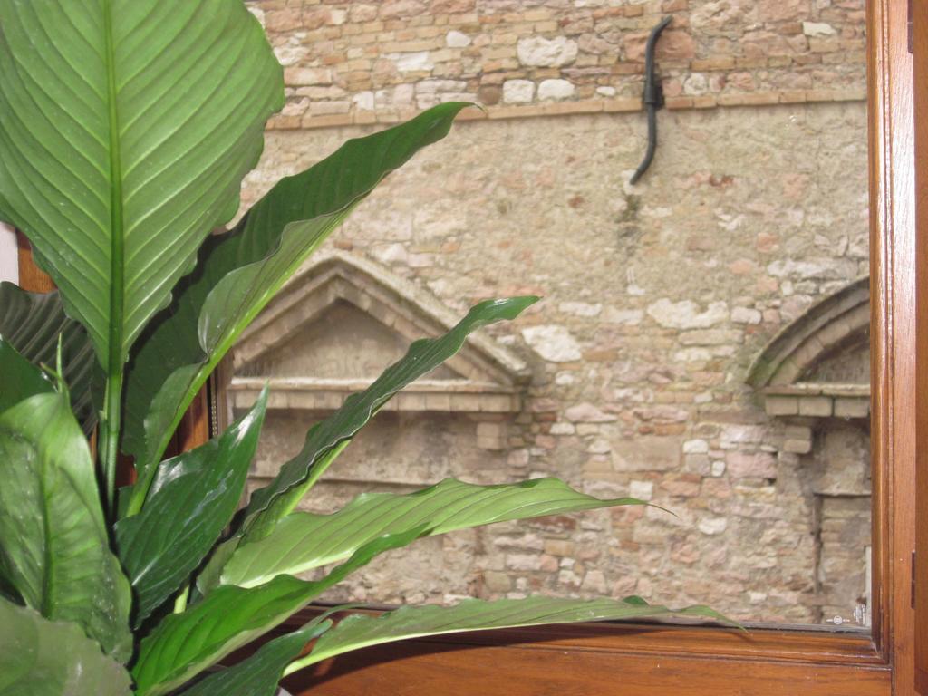 Helios Assisi Ξενοδοχείο Δωμάτιο φωτογραφία